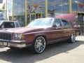 CIMG8510.JPG