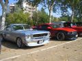 CIMG9540.JPG