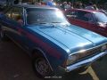 CIMG9565.JPG