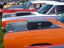 P1020135.JPG